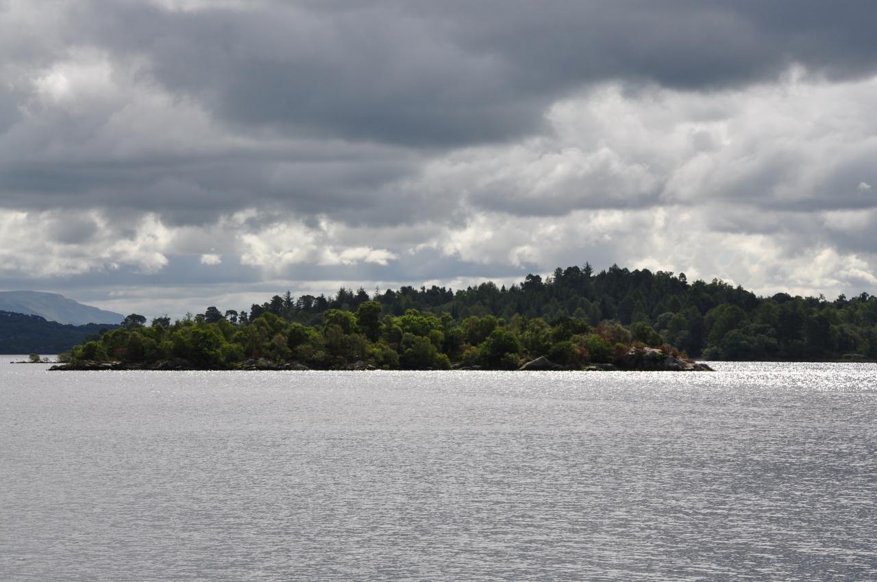 Petite île sur le loch Lomond / Small island on the loch Lomond